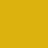 Broom-Yellow